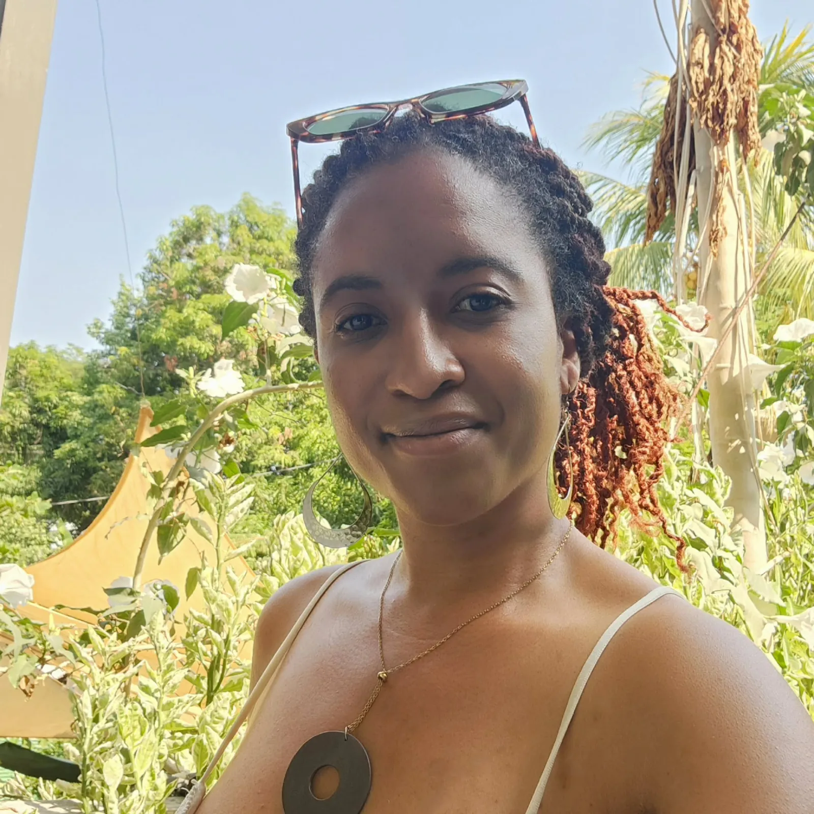 Dove on vacation